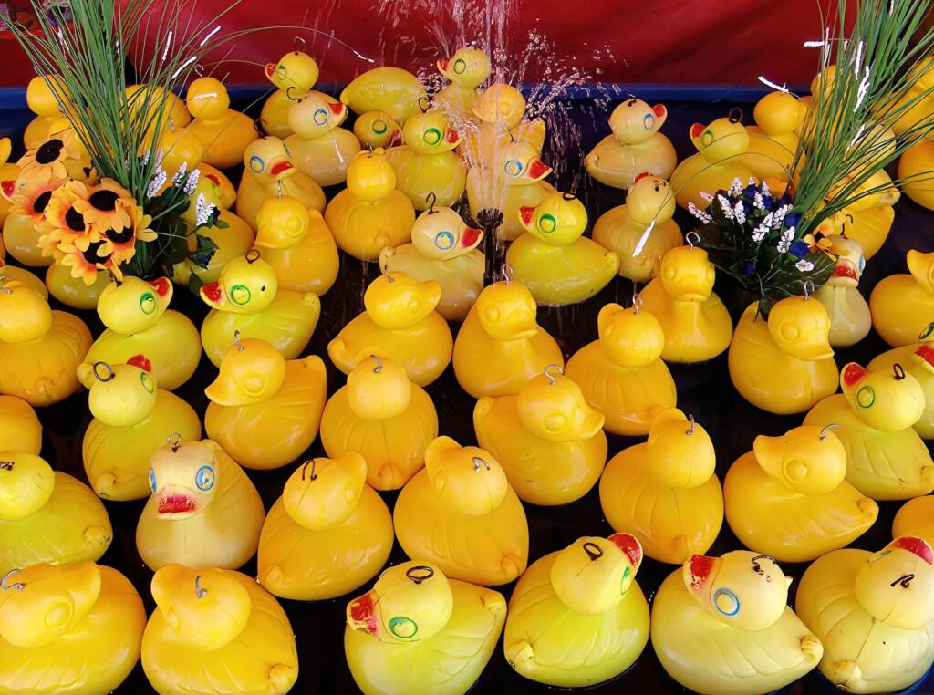 Ducks at the Alice Springs Show 2008