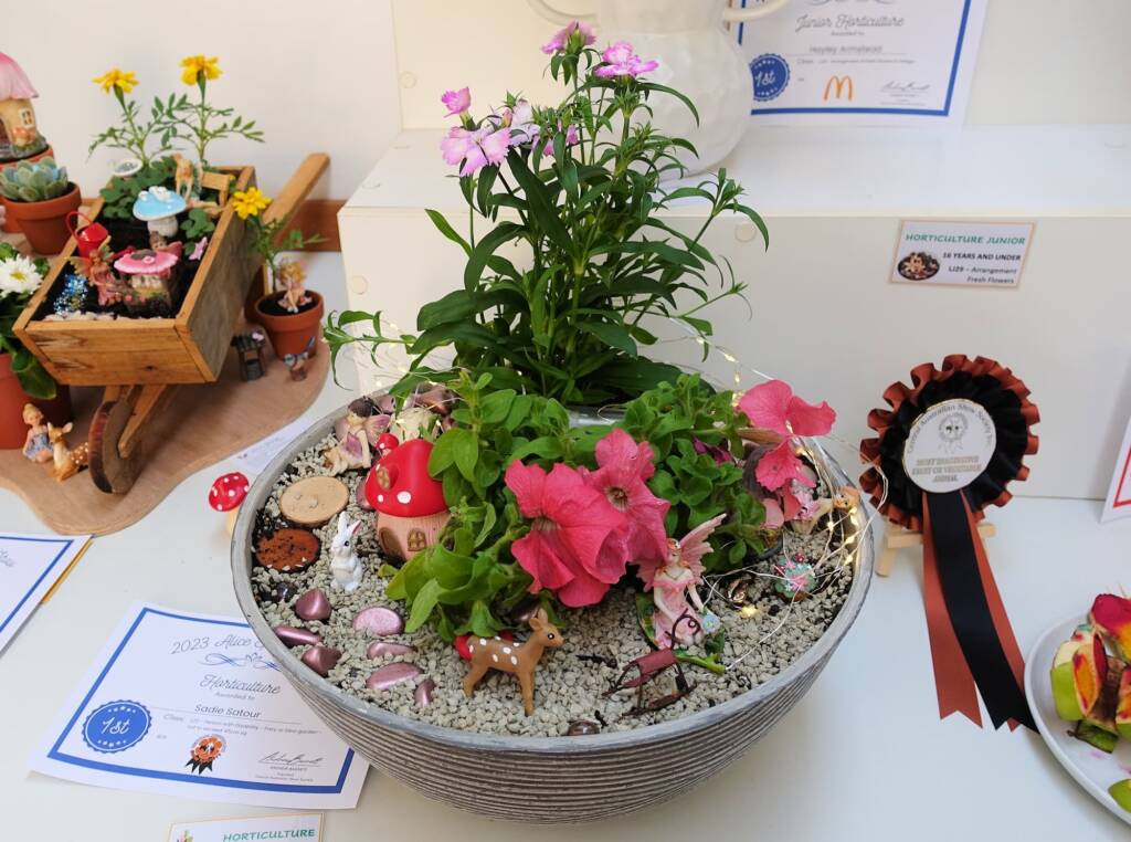 1st Prize Horticulture Award Sadie Satour - Class L22 - Person with Disability - Fairy or Dino garden, Alice Springs Show 2023