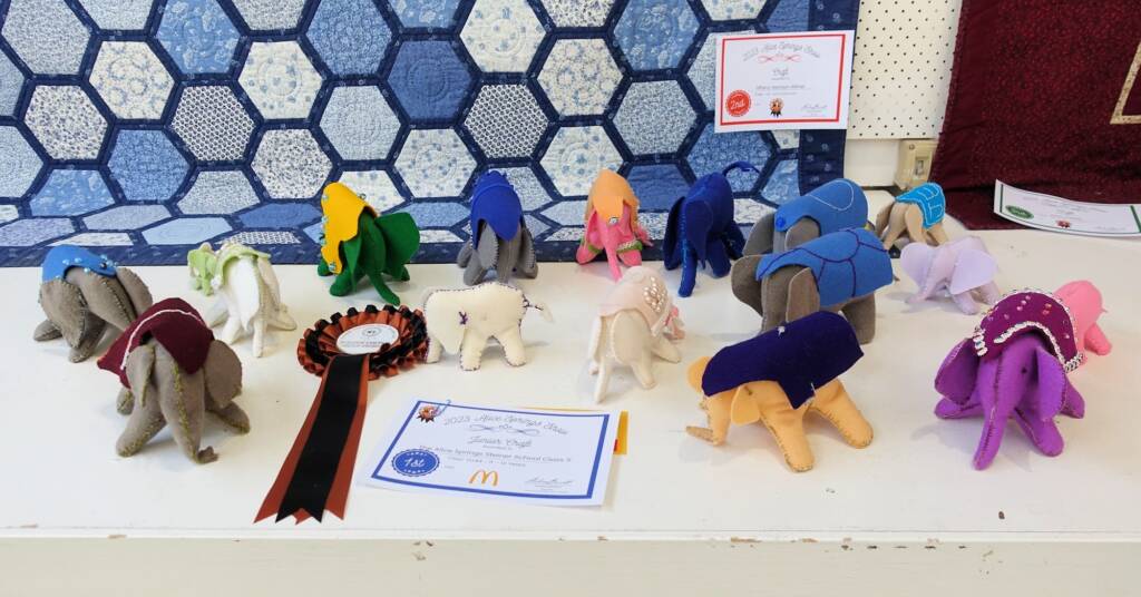 1st Prize Junior Craft Award The Alice Springs Steiner School Class 5 - Class HJ44 - 11-13 years, Alice Springs Show 2023