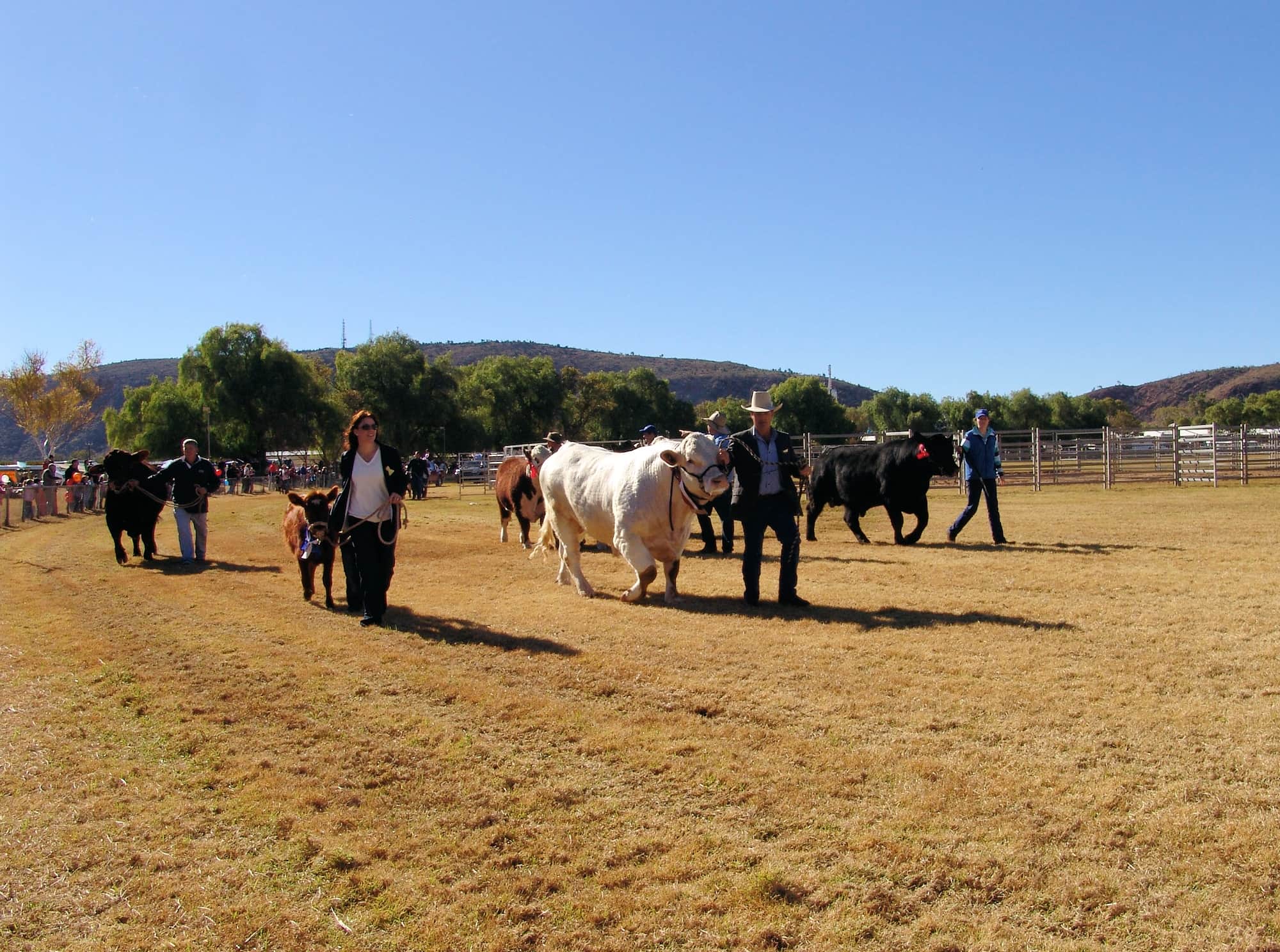 Alice Springs Show 2010