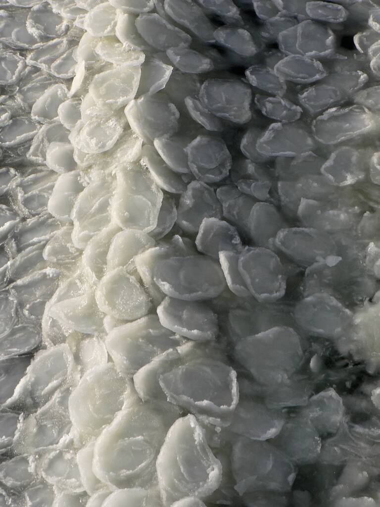 Antarctic pancake ice © Jennifer Cooke