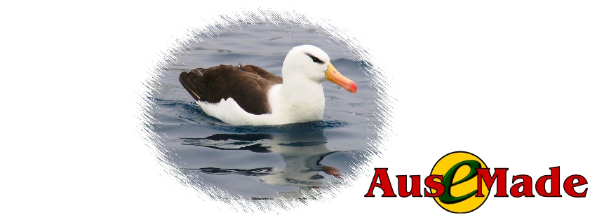 Ausemade Facebook - Black-browed Albatross (Thalassarche melanophrys)