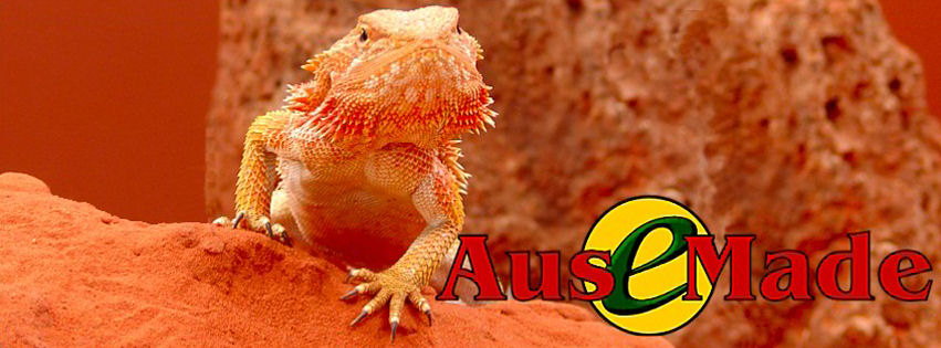 Ausemade Facebook - Bearded Dragon in the heart of Australia