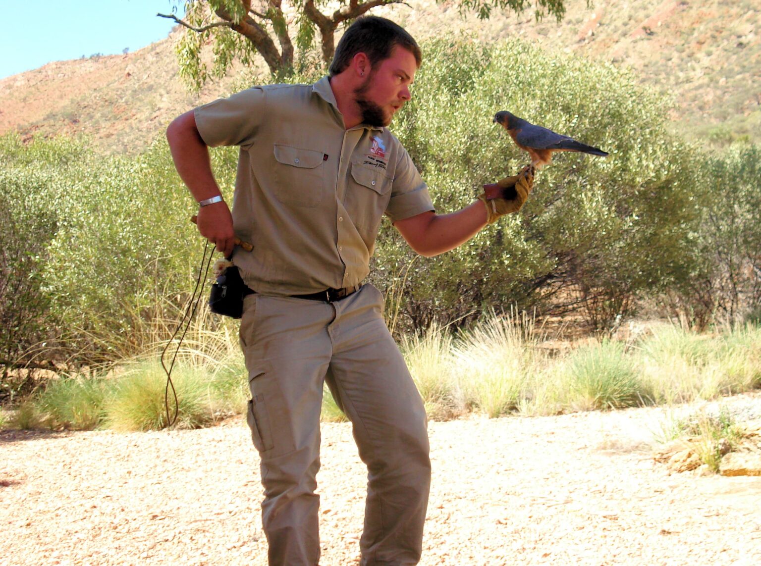Australian Hobby Ausemade