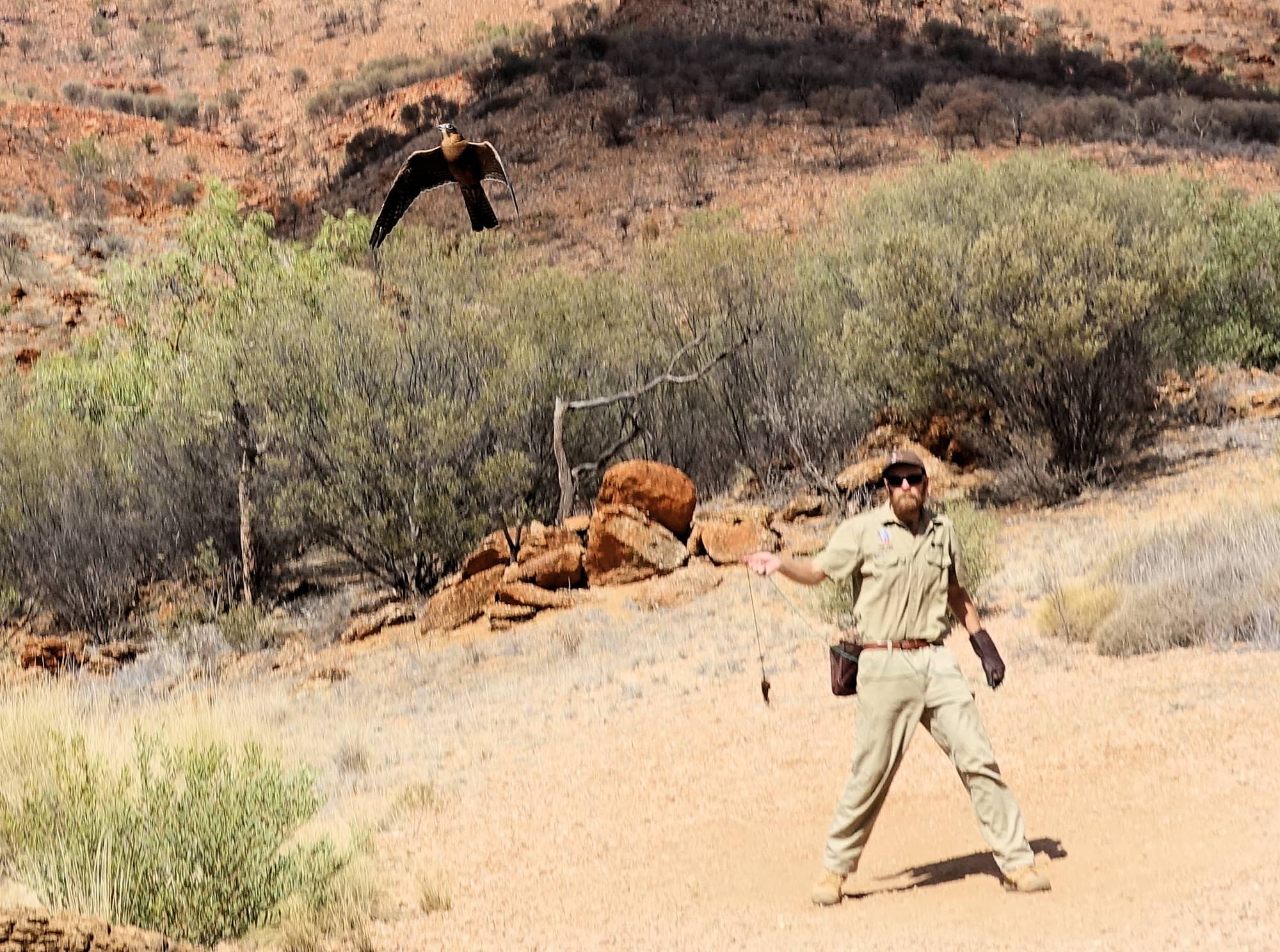 Australian Hobby Ausemade