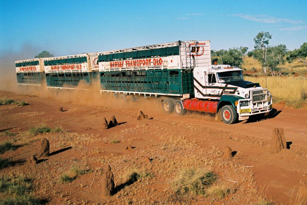 Barkly Transport QLD cattle road train © Hans Boessum