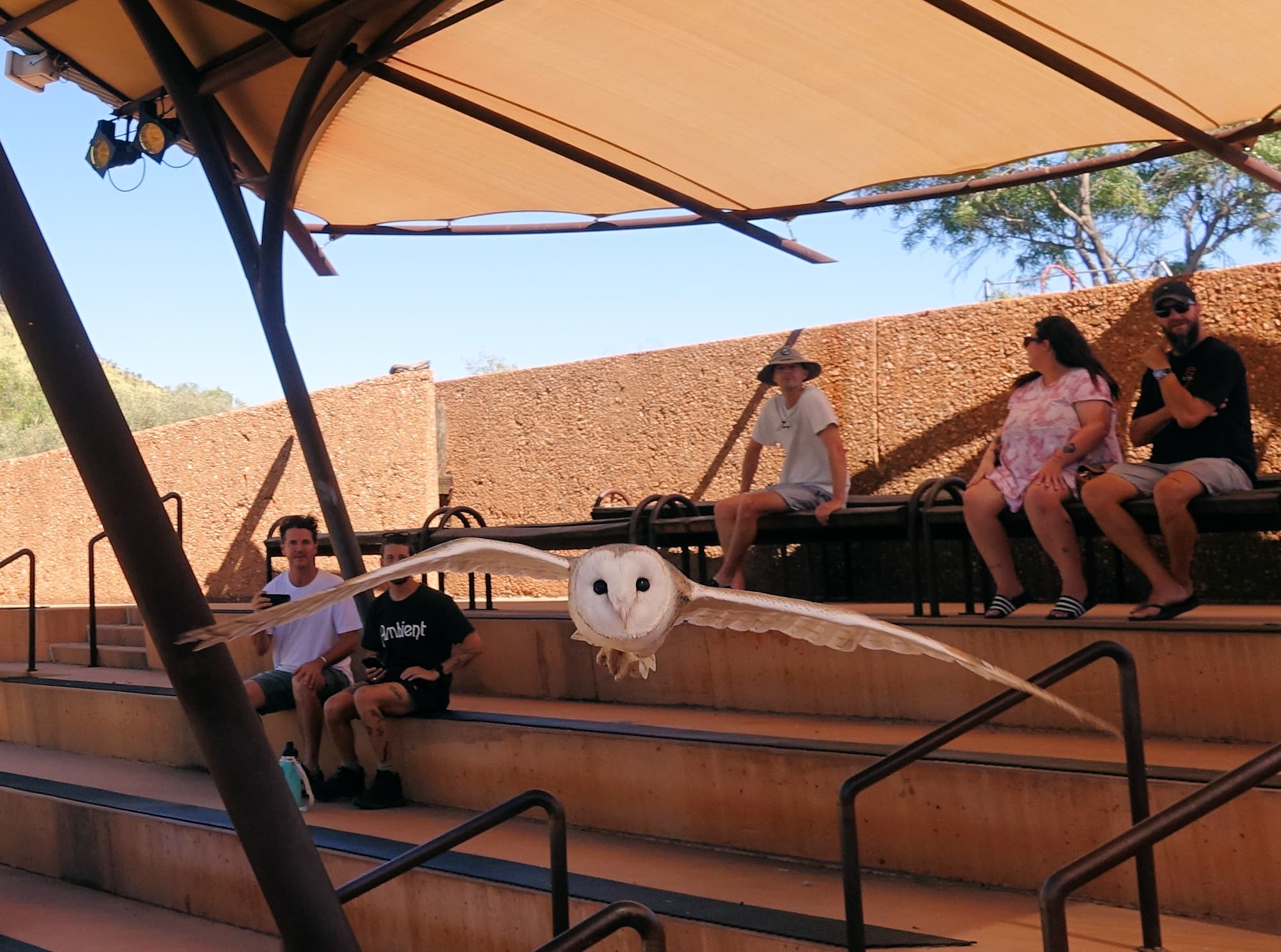 Memories of Birds at the Desert Park