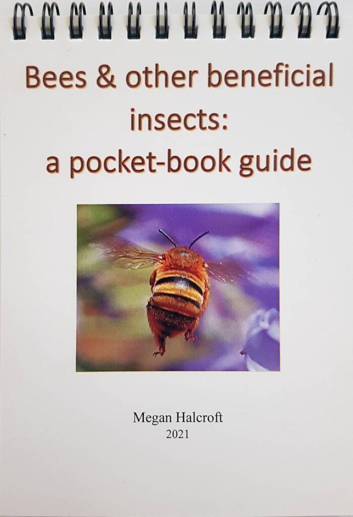 Bees & other beneficial insects: a pocket-book guide by Megan Halcroft