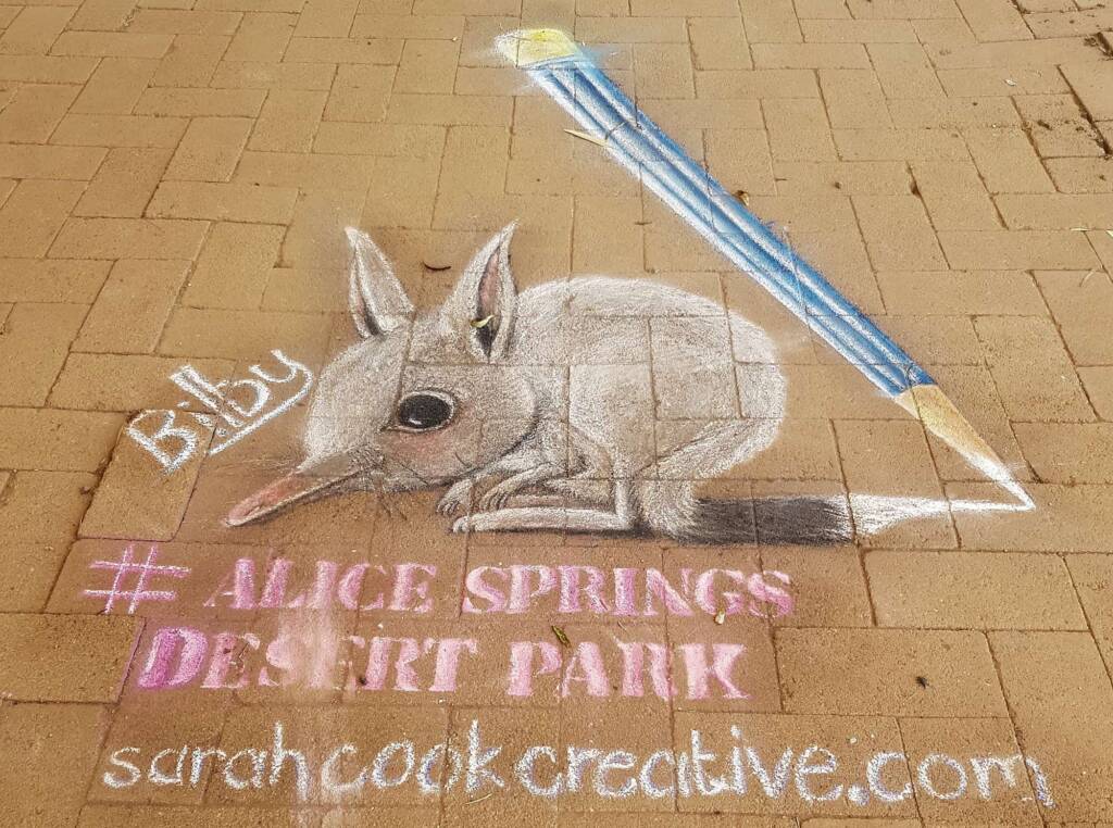 Bilby (chalk art) by Sarah Cook Creative, Alice Springs NT