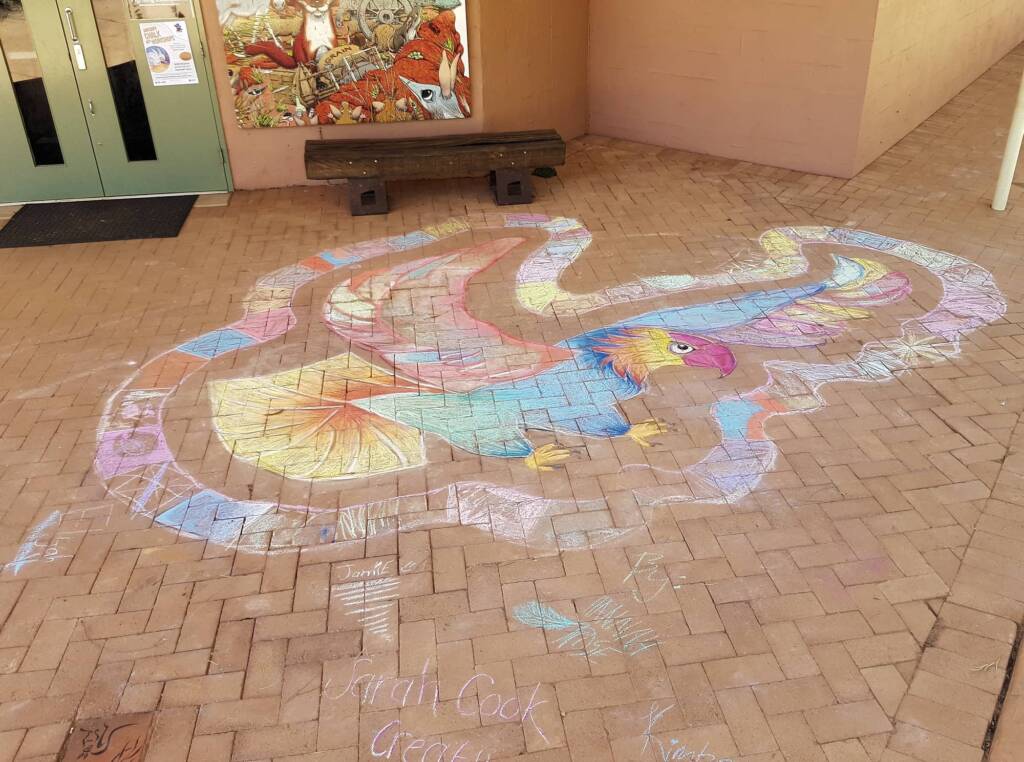Eagle (chalk art) by Sarah Cook Creative, Alice Springs NT