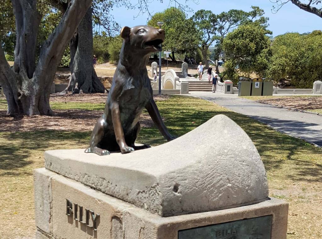 Billy, 1959-1978 memorial, Balmoral Beach, Mosman NSW