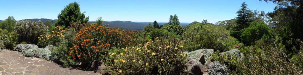 Blue Mountains Botanic Garden, NSW