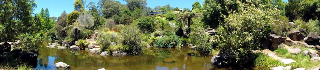 Blue Mountains Botanic Garden, NSW