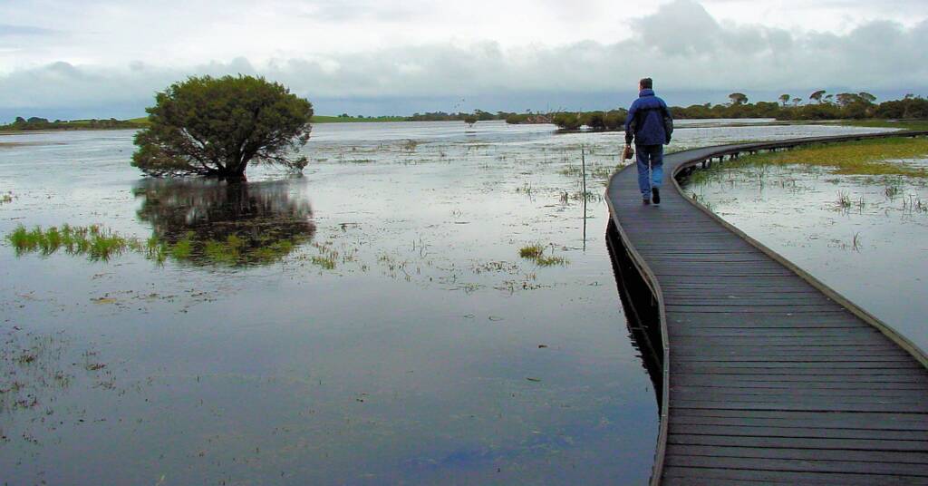 Bool Lagoon Game Reserve walkway