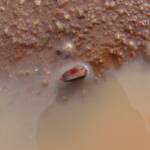 Clam Shrimp (class Branchiopoda, order/suborder Spinicaudata), Ilparpa Claypans, Central Australia