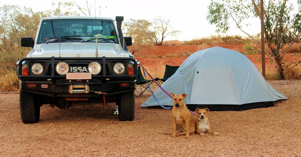 Camping with you pets.