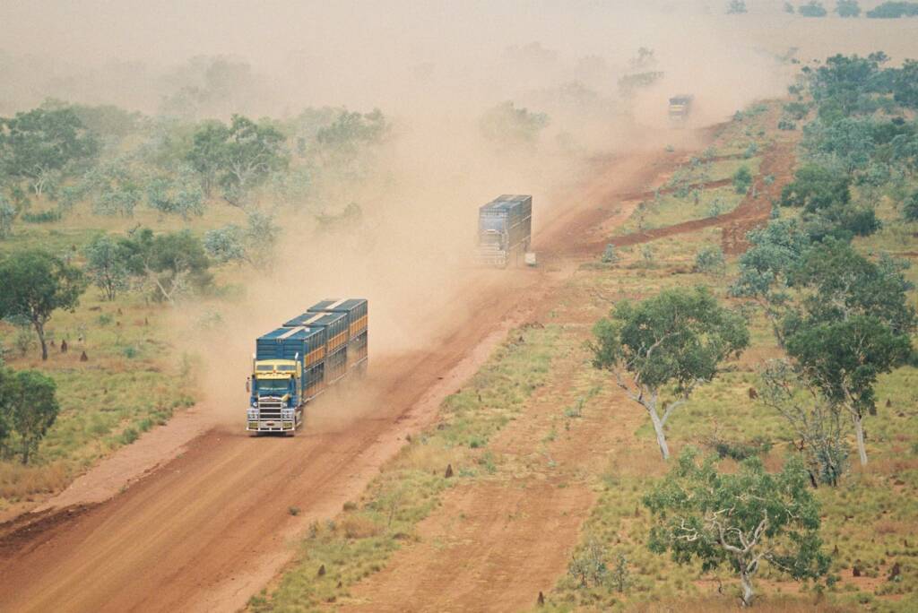 Road Trains transporting cattle from Helen Springs Station © Hans Boessum