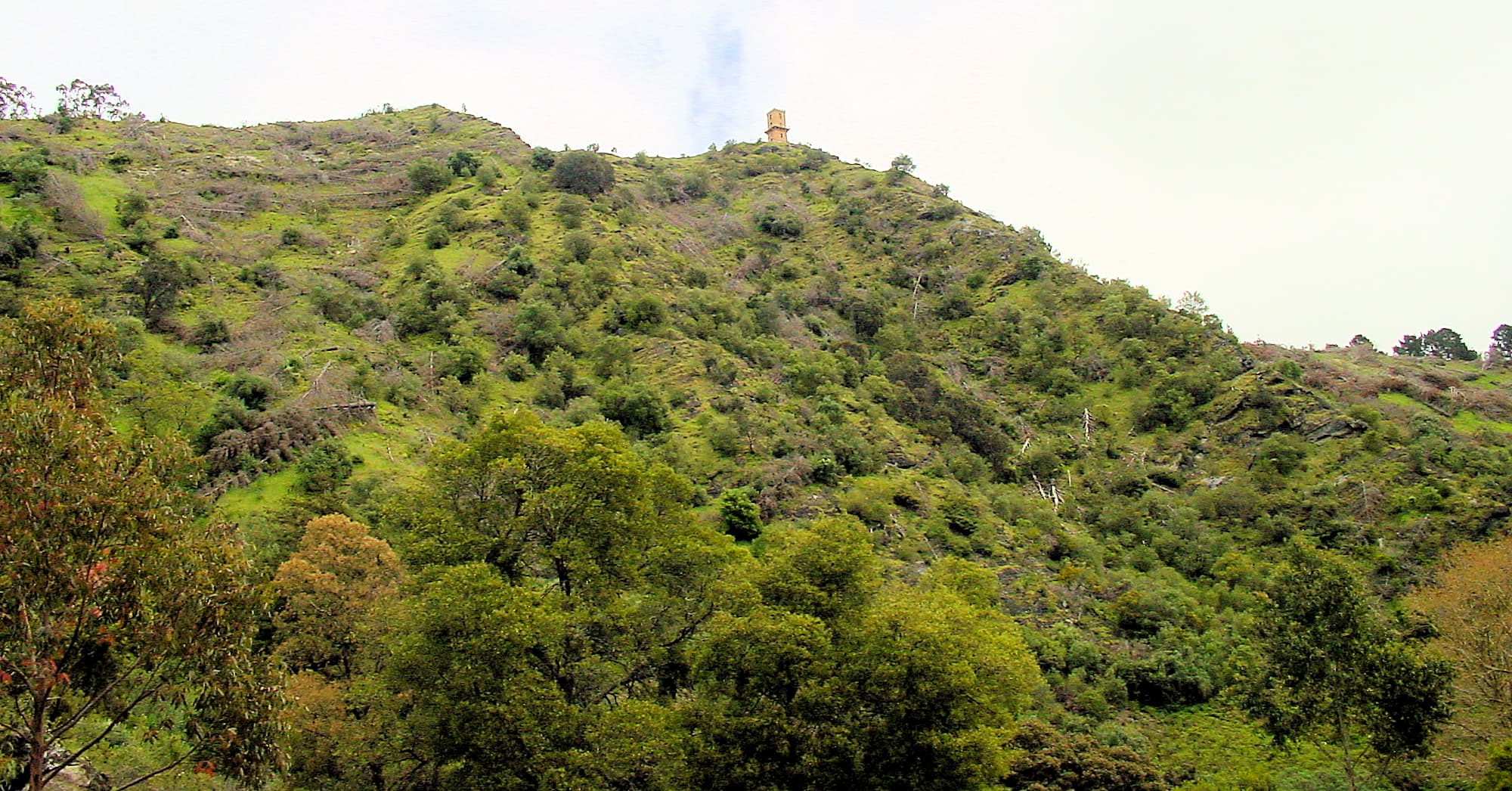 Mount Gambier Ausemade