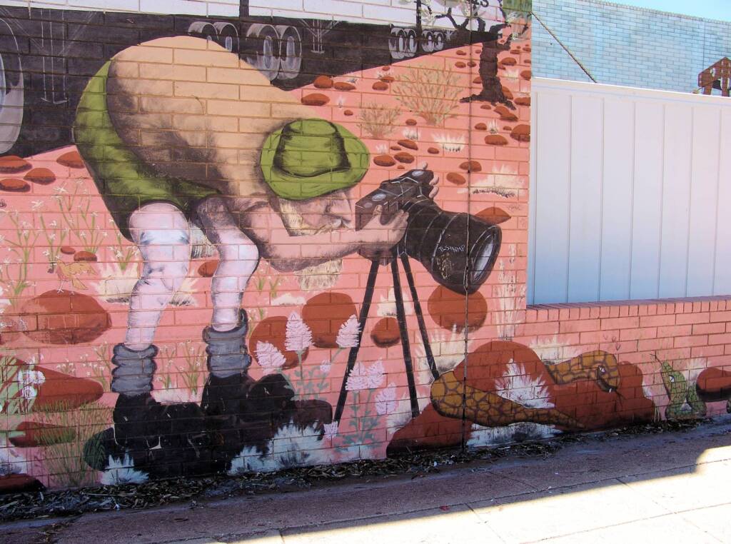 Coles Mural, 1981 by Bob and Kay Kessing (supervisors), with 200 volunteers — Mural, Alice Springs Street Art