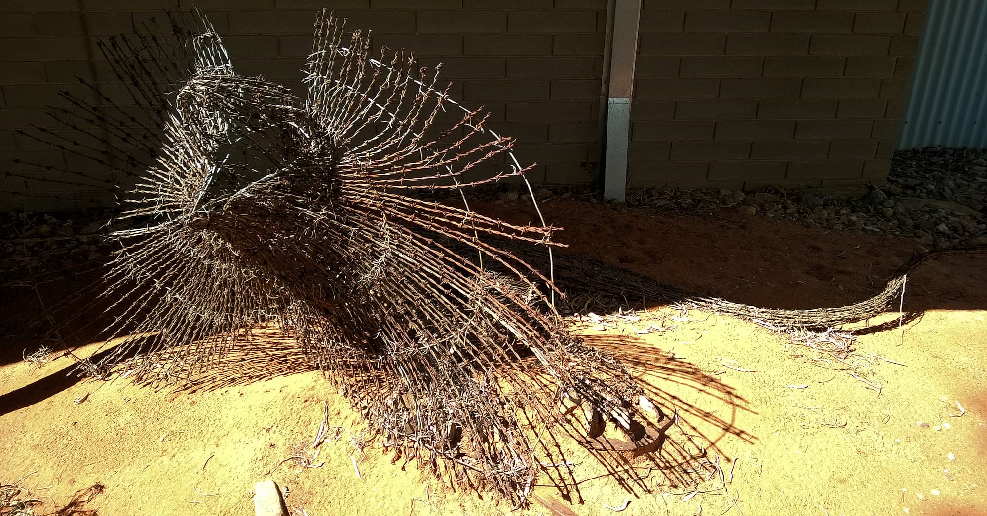 Comet by Dan Murphy - Barbed wire and galvanised metal, 1995 Araluen Collection