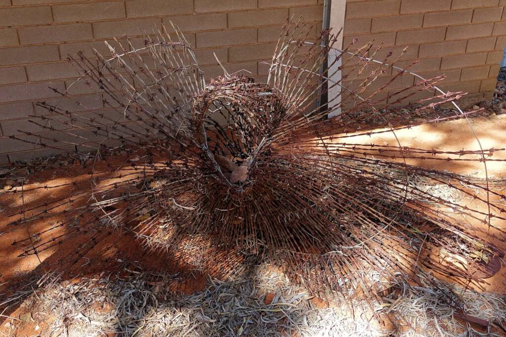 Comet by Dan Murphy - Barbed wire and galvanised metal, 1995 Araluen Collection