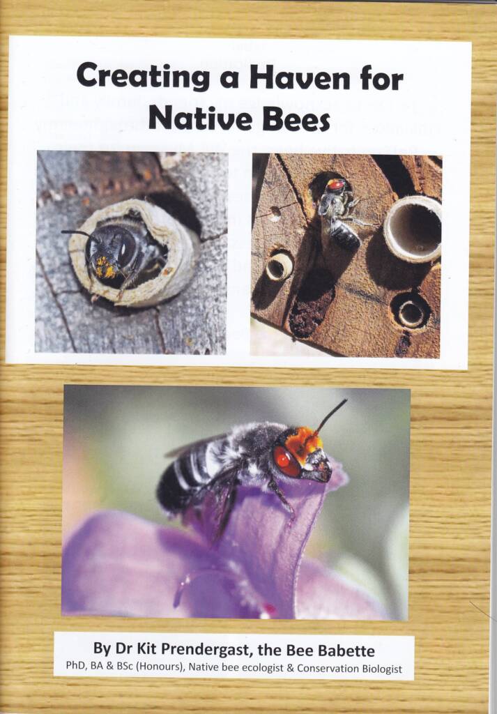 Creating a Haven for Native Bees by Dr Kit Prendergast, the Bee Babette