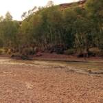 Crossing the dry Finke River in the Fink Gorge National Park