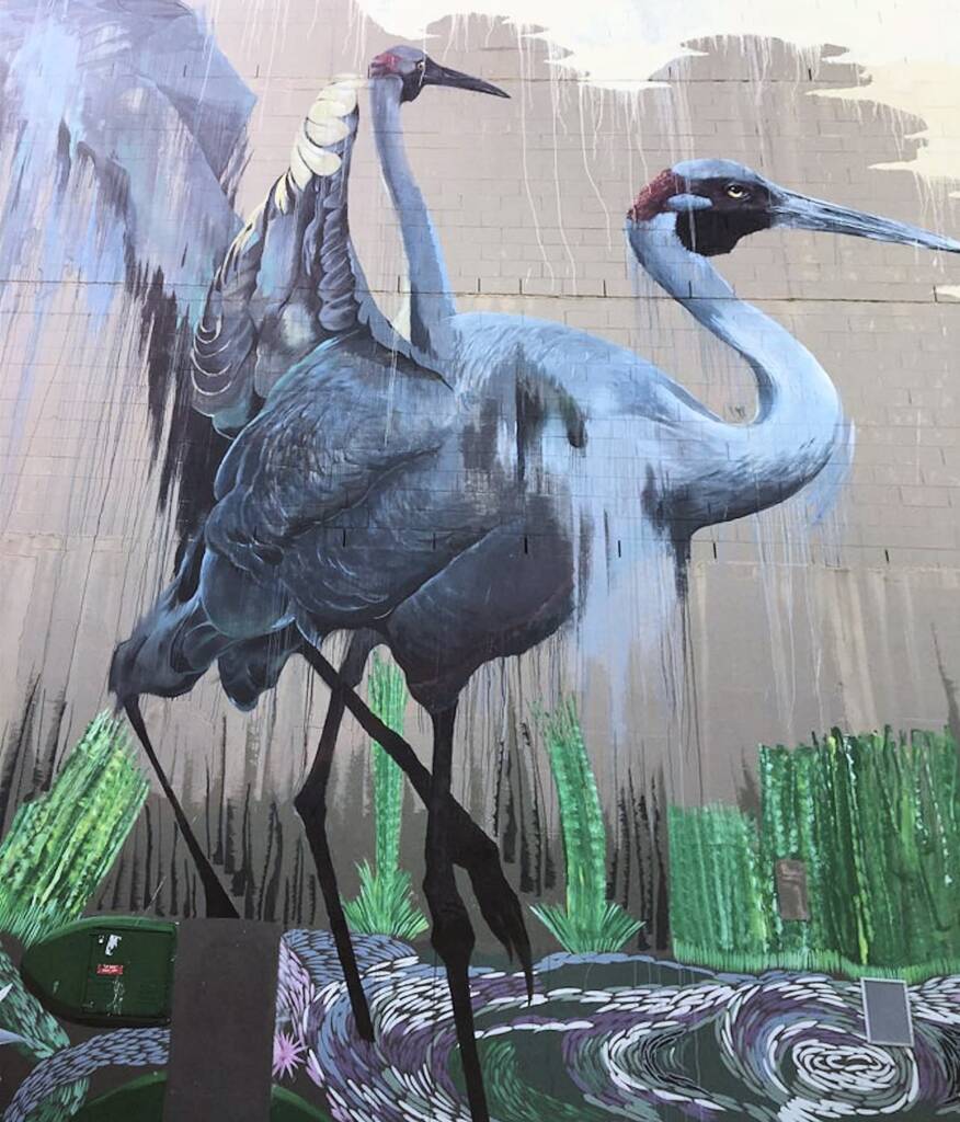 Darwin Street Art