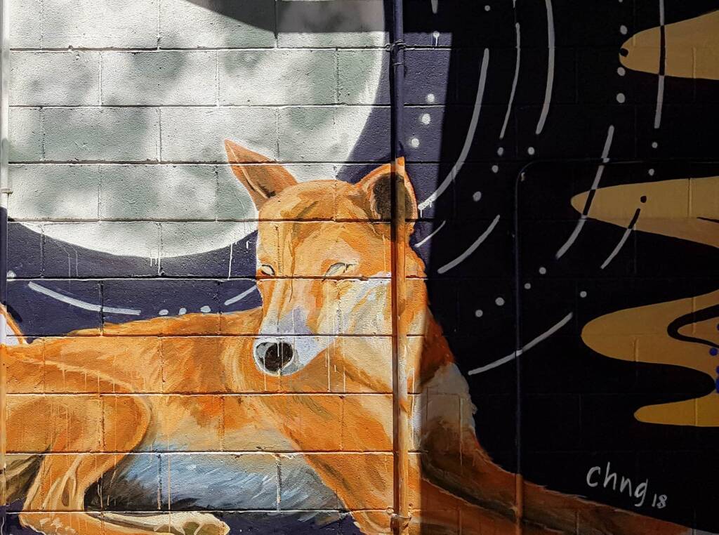 Dingoes Under a Full Moon by Christine Ng, Alice Springs Street Art