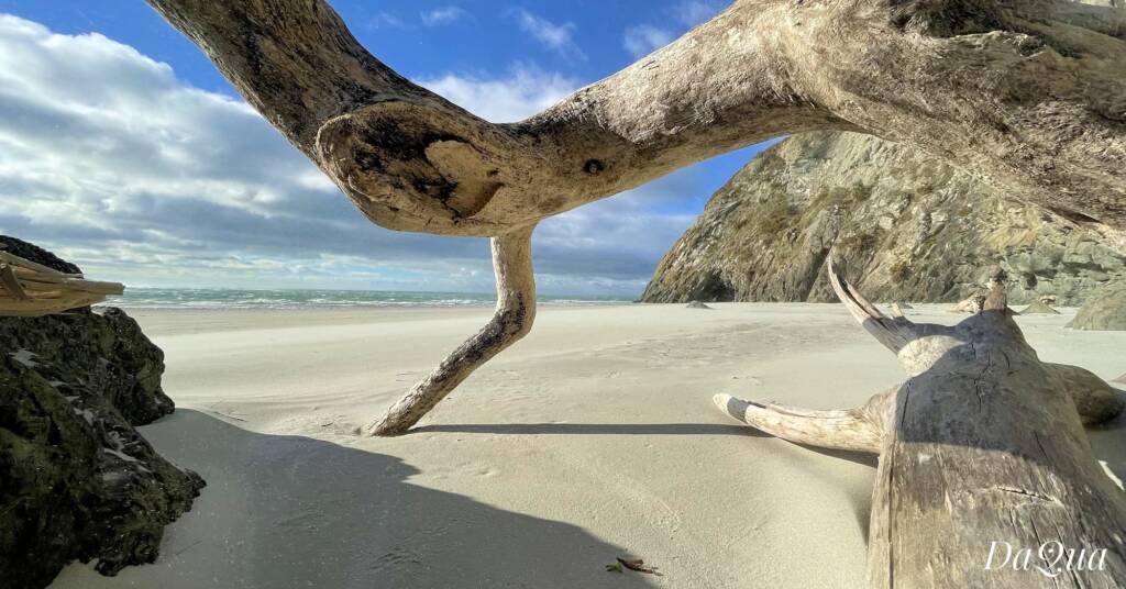 One of the beaches along Doctors Point, New Zealand