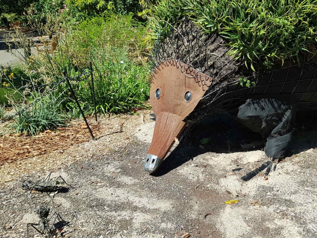 Echidna Living Sculpture, ‘Edina’ by Horticultural Sculptor Bryn Hutchinson - Royal Botanic Gardens, Sydney NSW