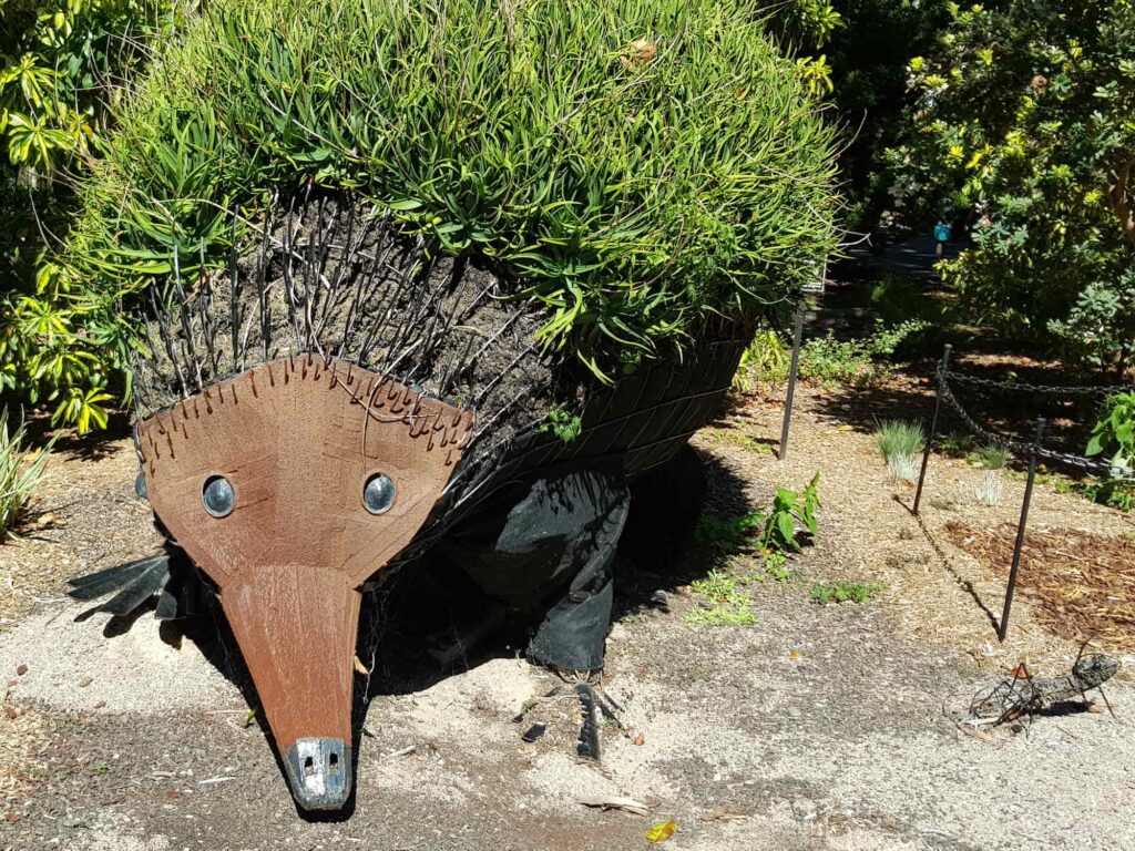 Echidna Living Sculpture, ‘Edina’ by Horticultural Sculptor Bryn Hutchinson - Royal Botanic Gardens, Sydney NSW