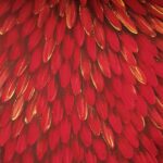 Emu Dreaming, 2008 (closeup) © Raymond Walters Japanangka