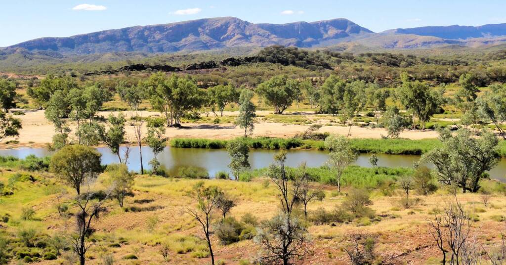 View of Finke River from Mount Sonder (near Glen Helen), 2010