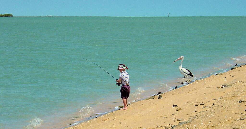 Fishing with the pelican at Karumba