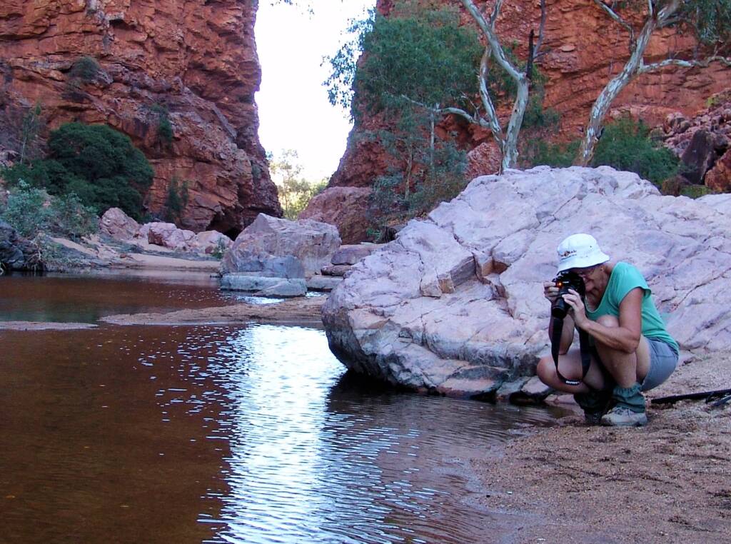 Photographing frogs at Simpsons Gap, NT