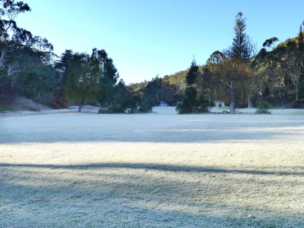 Frost in Long Gully, Belair NP SA © Marianne Broug