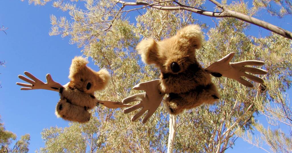 Furry Angels by artist Jenny Taylor (2008 Exhibition, Olive Pink Botanic Garden, Alice Springs)