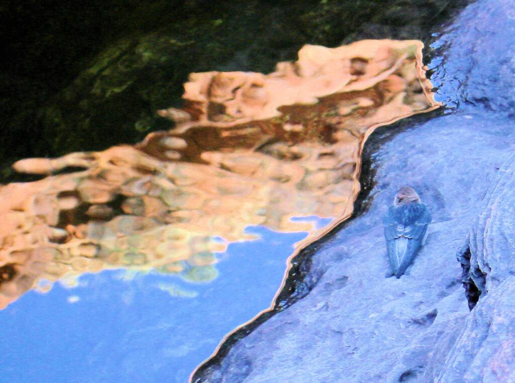 Reflection at the Garden of Eden, Kings Canyon NT
