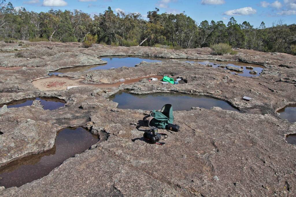 Gnammas in the Granite Belt, Queensland © Marc Newman
