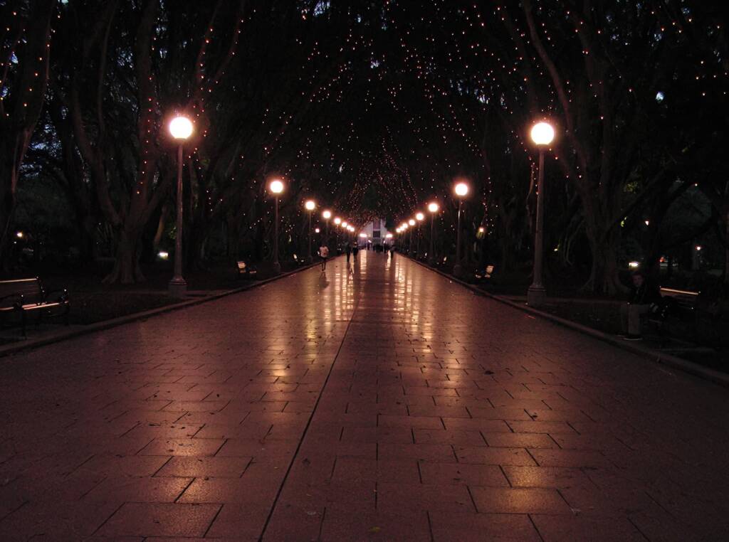 Hyde Park at night, Sydney NSW
