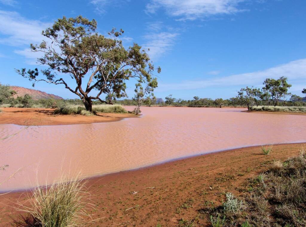 Ilparpa Claypans, Central Australia