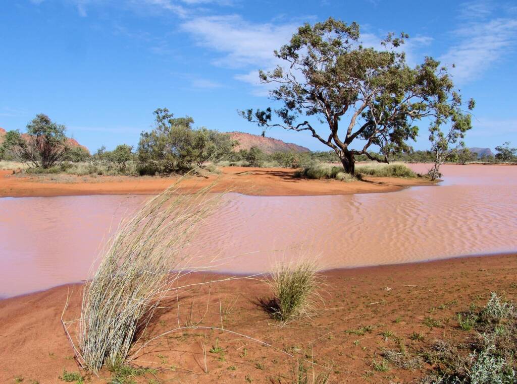 Ilparpa Claypans, Central Australia
