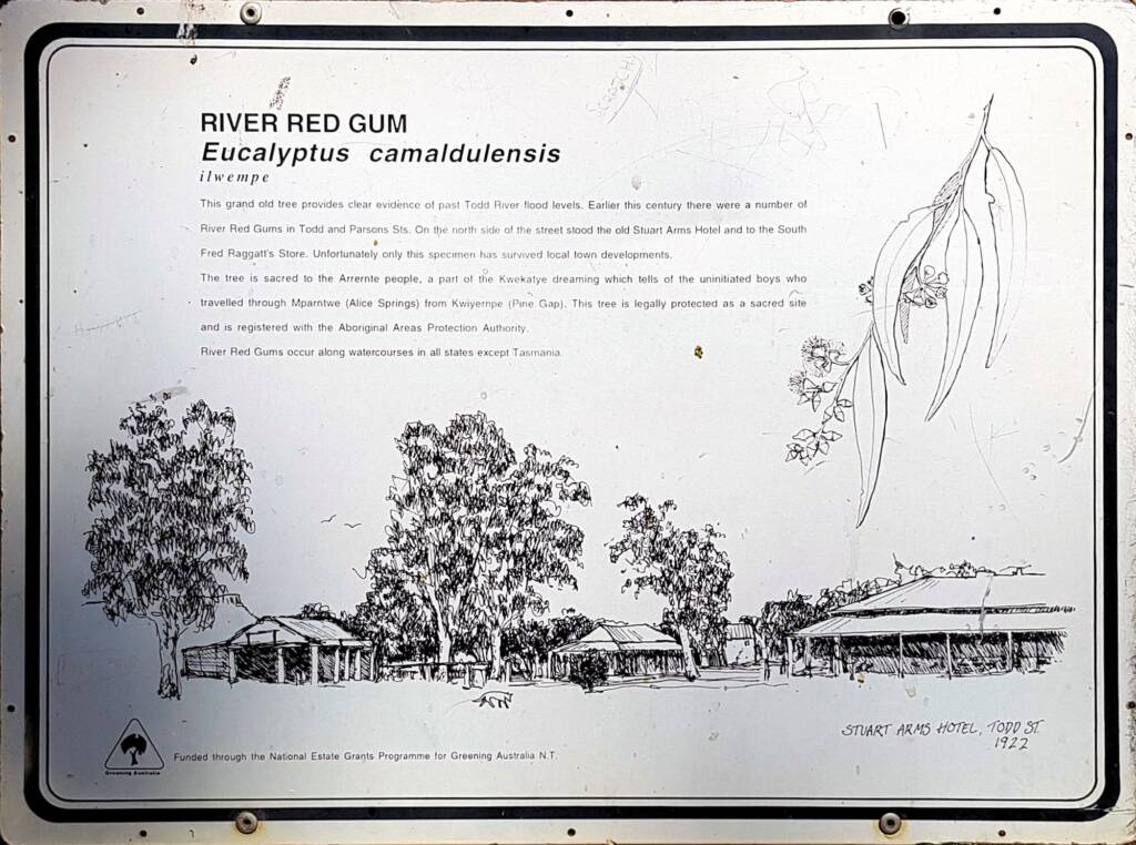 Ilwempe River Red Gum signage in Alice Springs NT