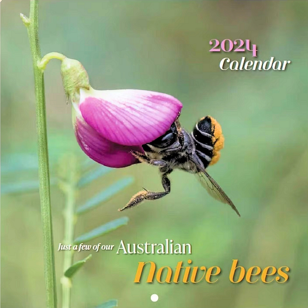 2024, Australian Native Bees Calendar
