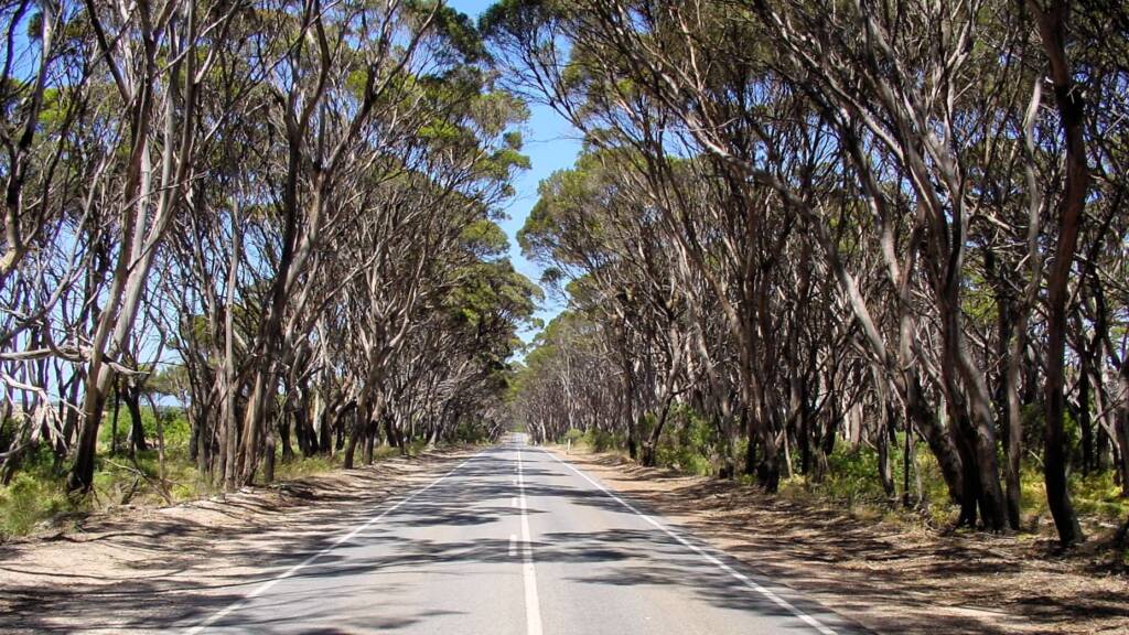 One of the scenic drives on Kangaroo Island.