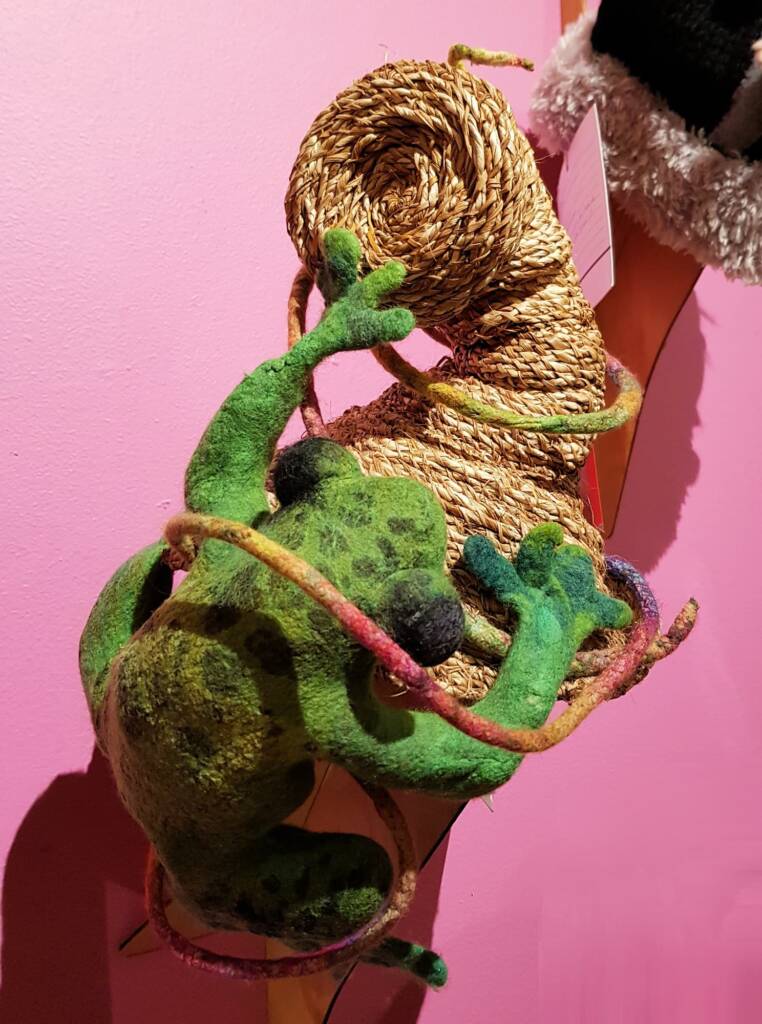 Kermit at the Boab by Jacqueline Gibson, Attadale WA, Alice Springs Beanie Festival 2023