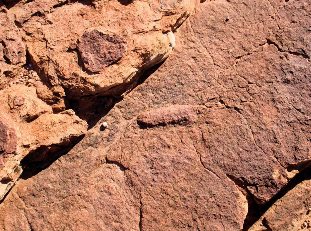 Fossil remains, Watarrka National Park