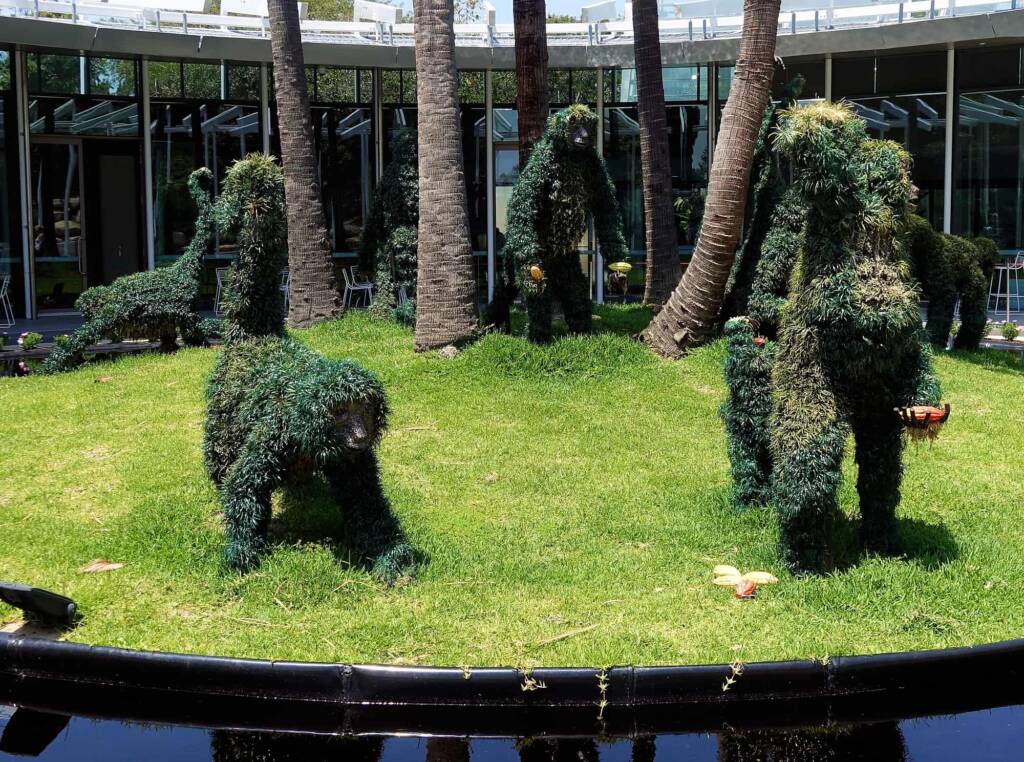 Monkeys in the rainforest, The Calyx, Royal Botanic Garden Sydney NSW