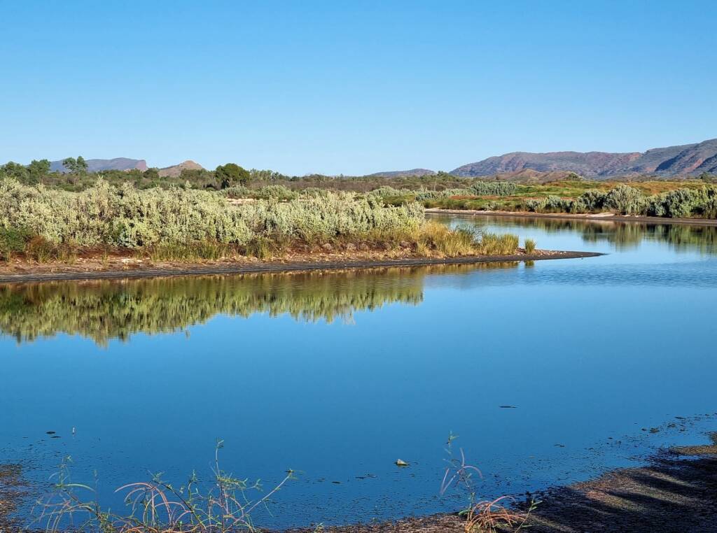Looking west in the morning light at the Alice Springs Sewage Ponds NT (8 am April) © Dorothy Latimer